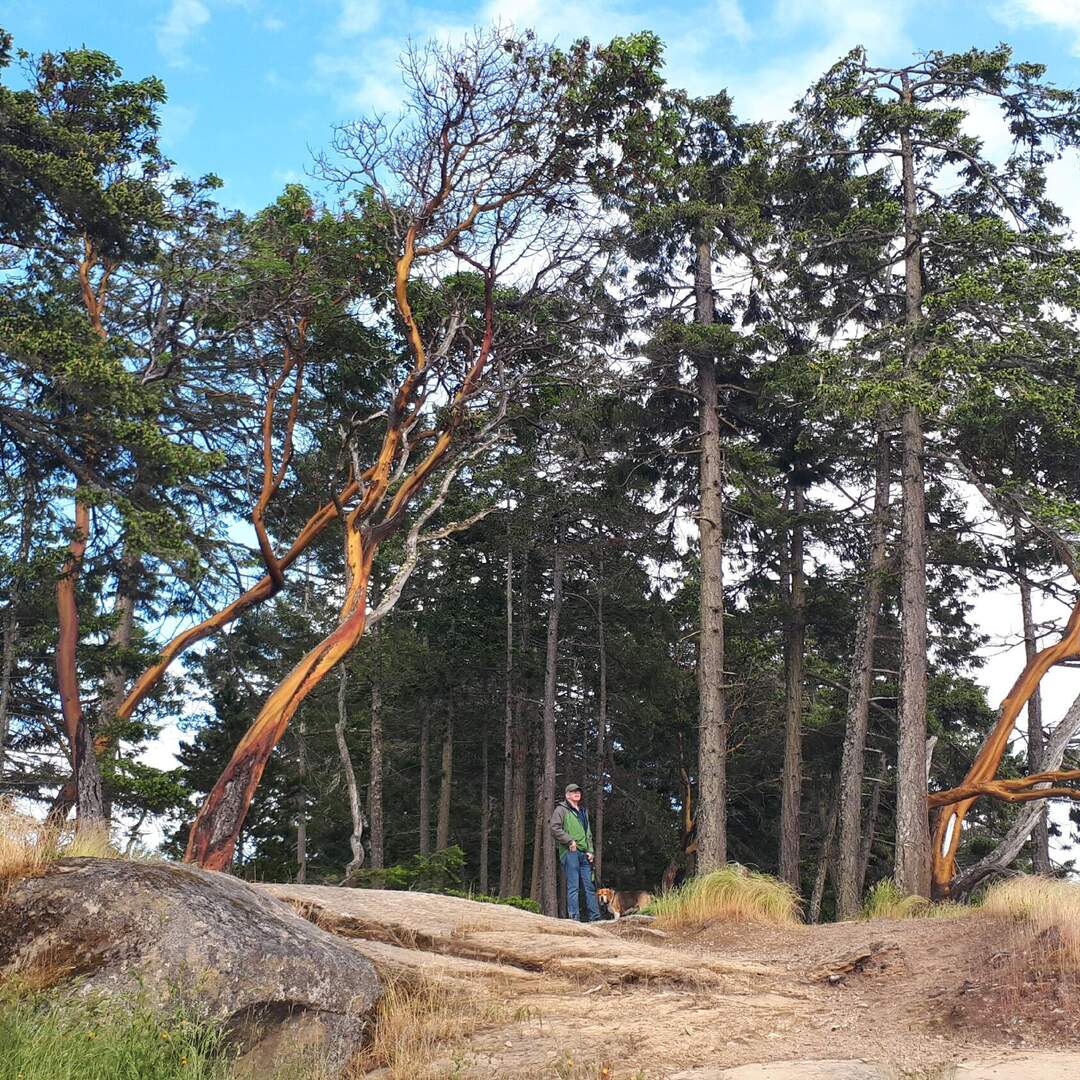 gabriola car camping