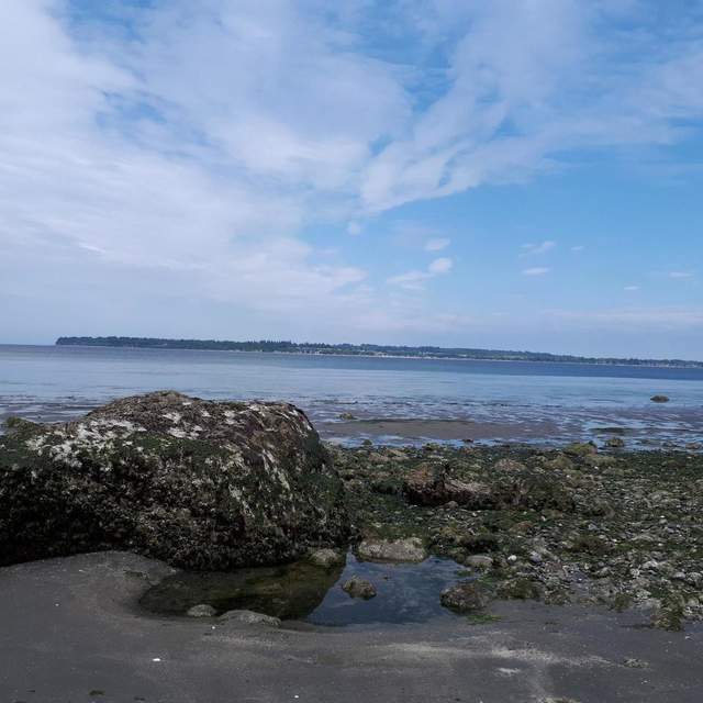 Birch bay may long weekend