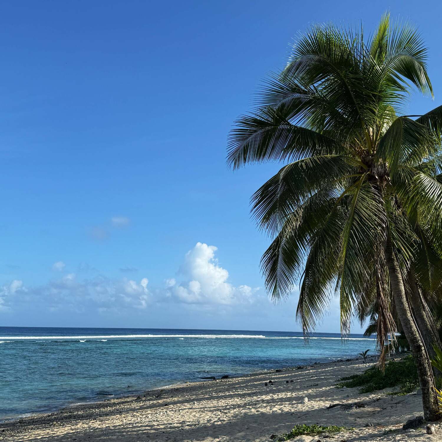 Cook Islands escape