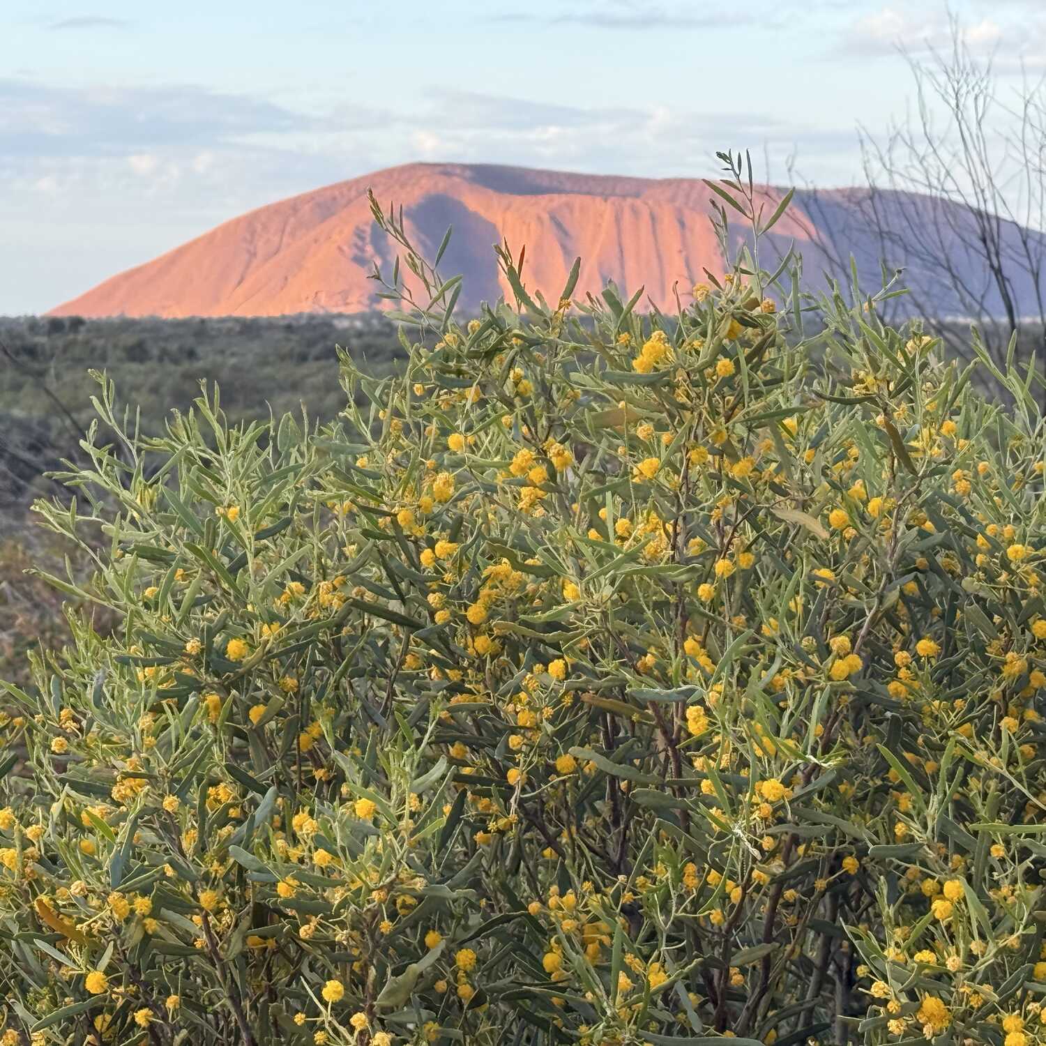 Walking the red centre