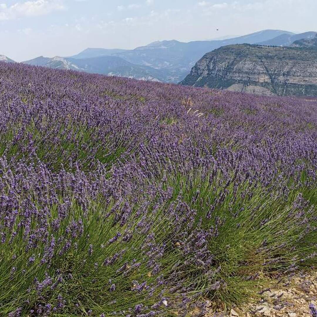Roadtrip Südfrankreich