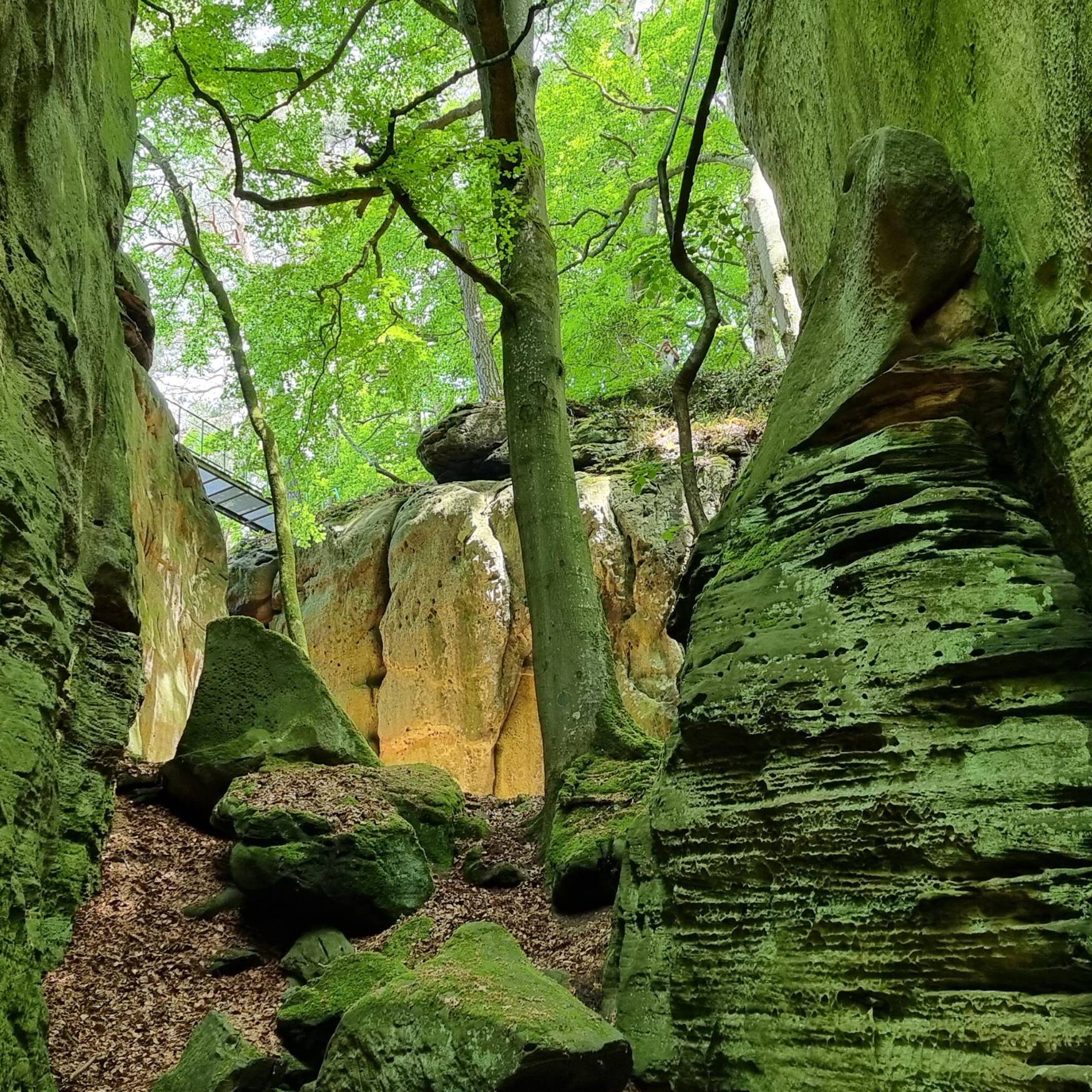 Grüne Hölle und Mullerthal