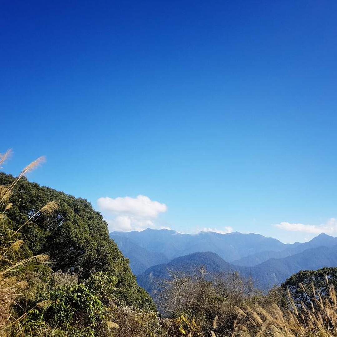 苗栗 - 司馬限林道