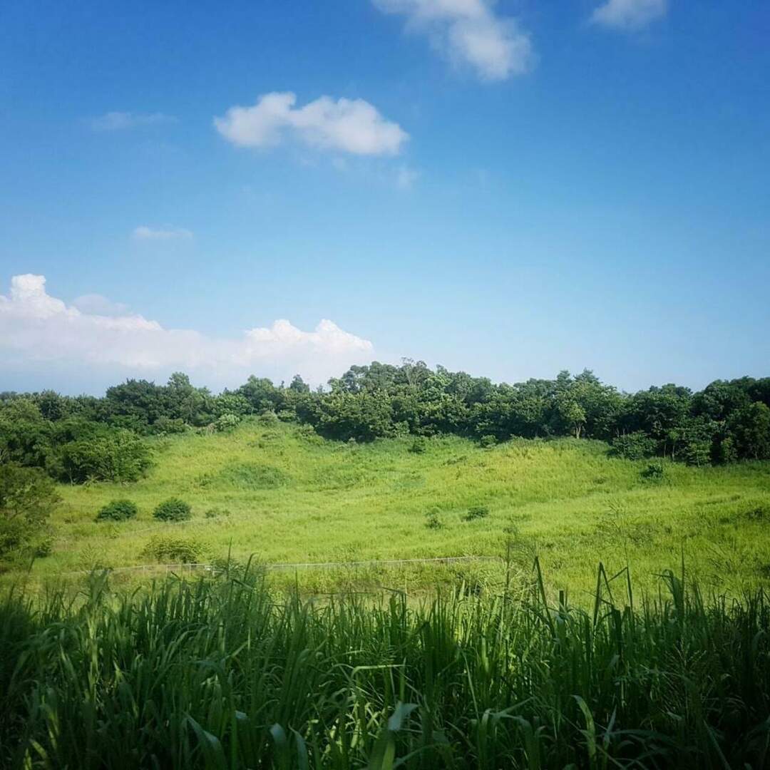 高雄隨行
