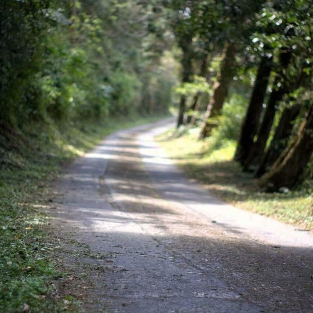 屏東隨行