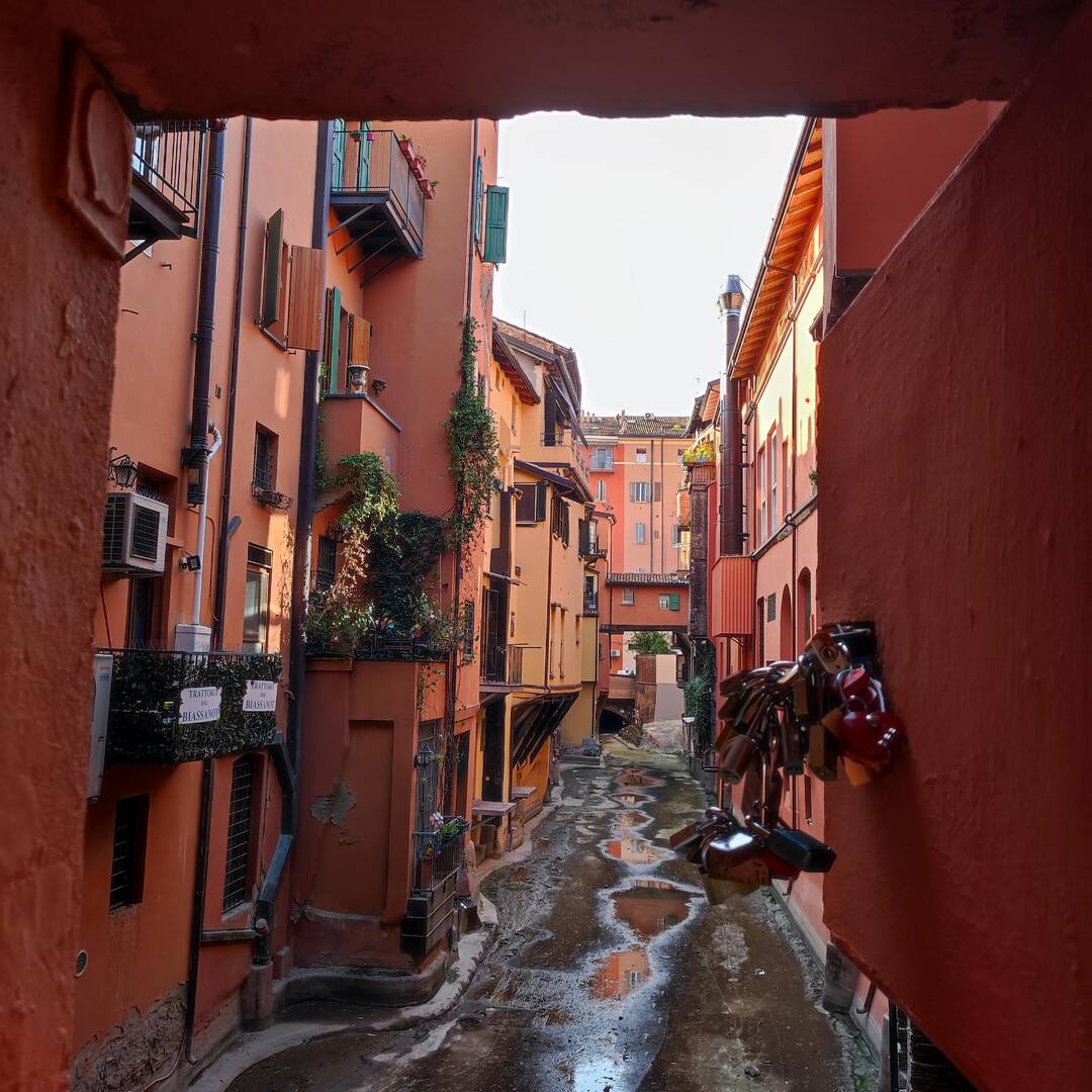 Bologna in un morso