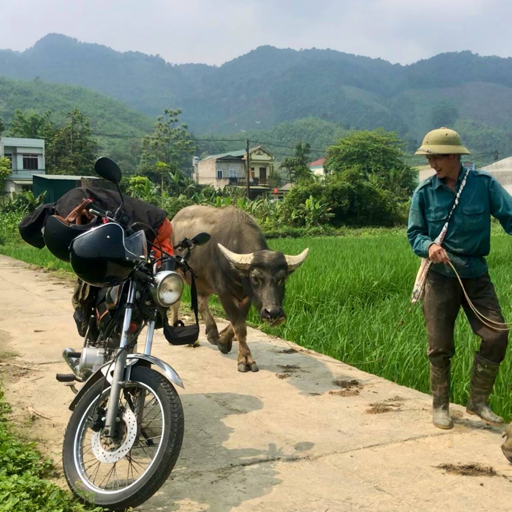 Viêt Nam
