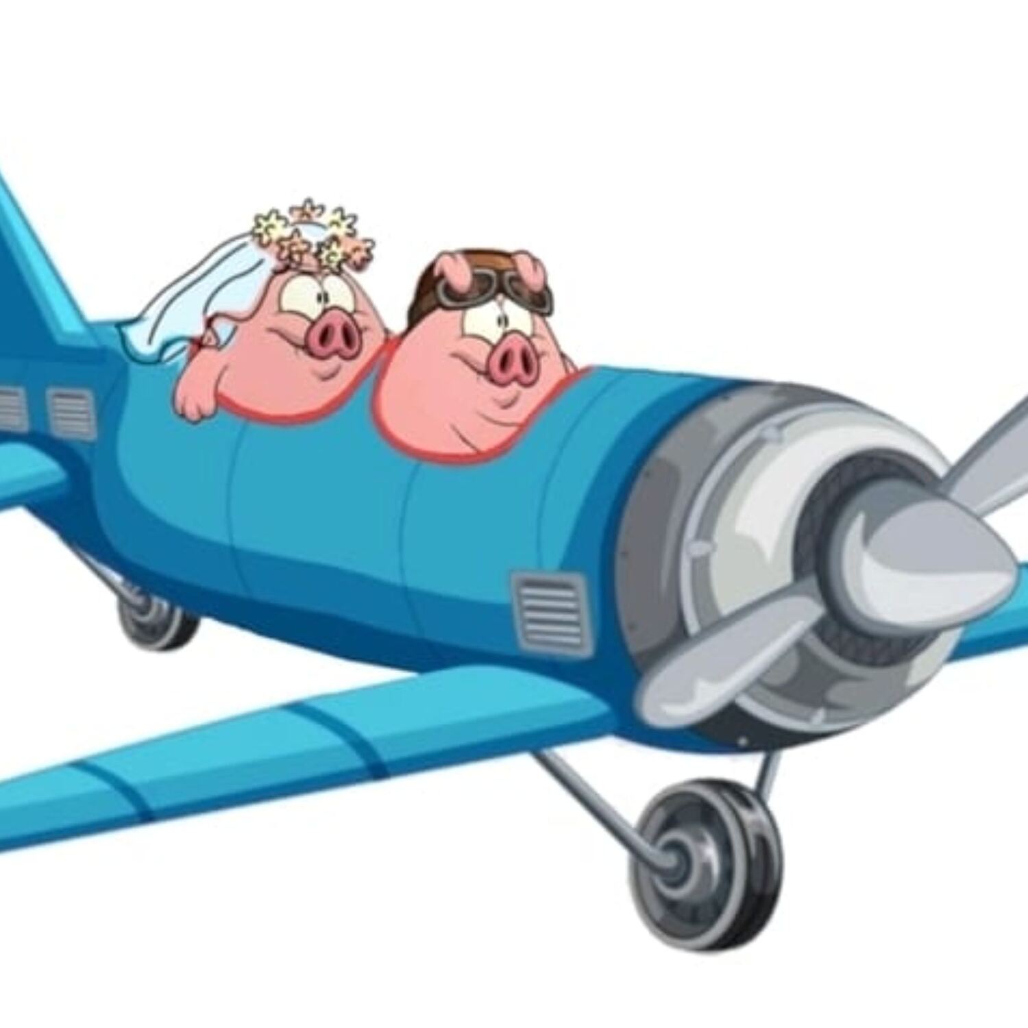 Mr & Mrs Bowles Adventures XXL