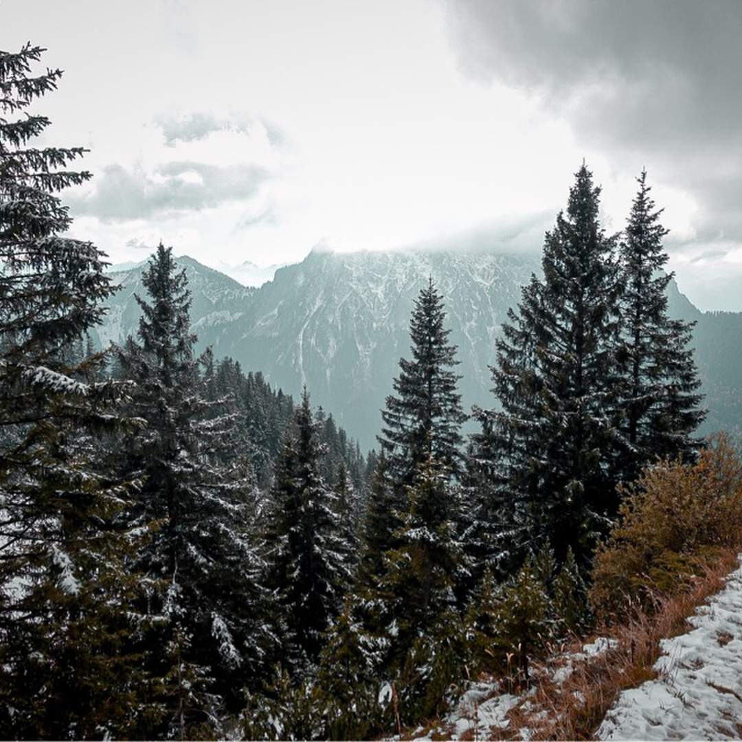 Camping im Algäu