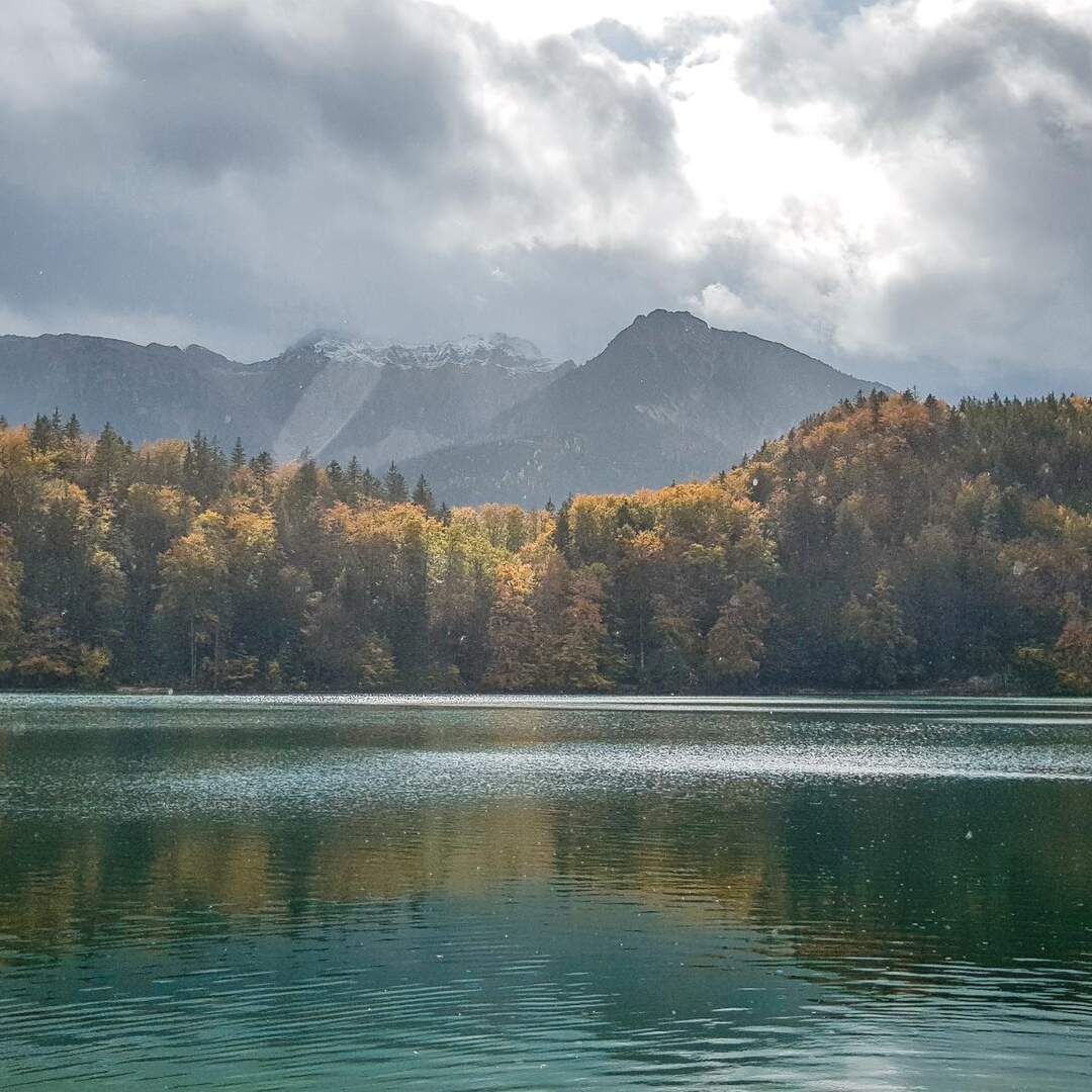 Rieden am Foggensee