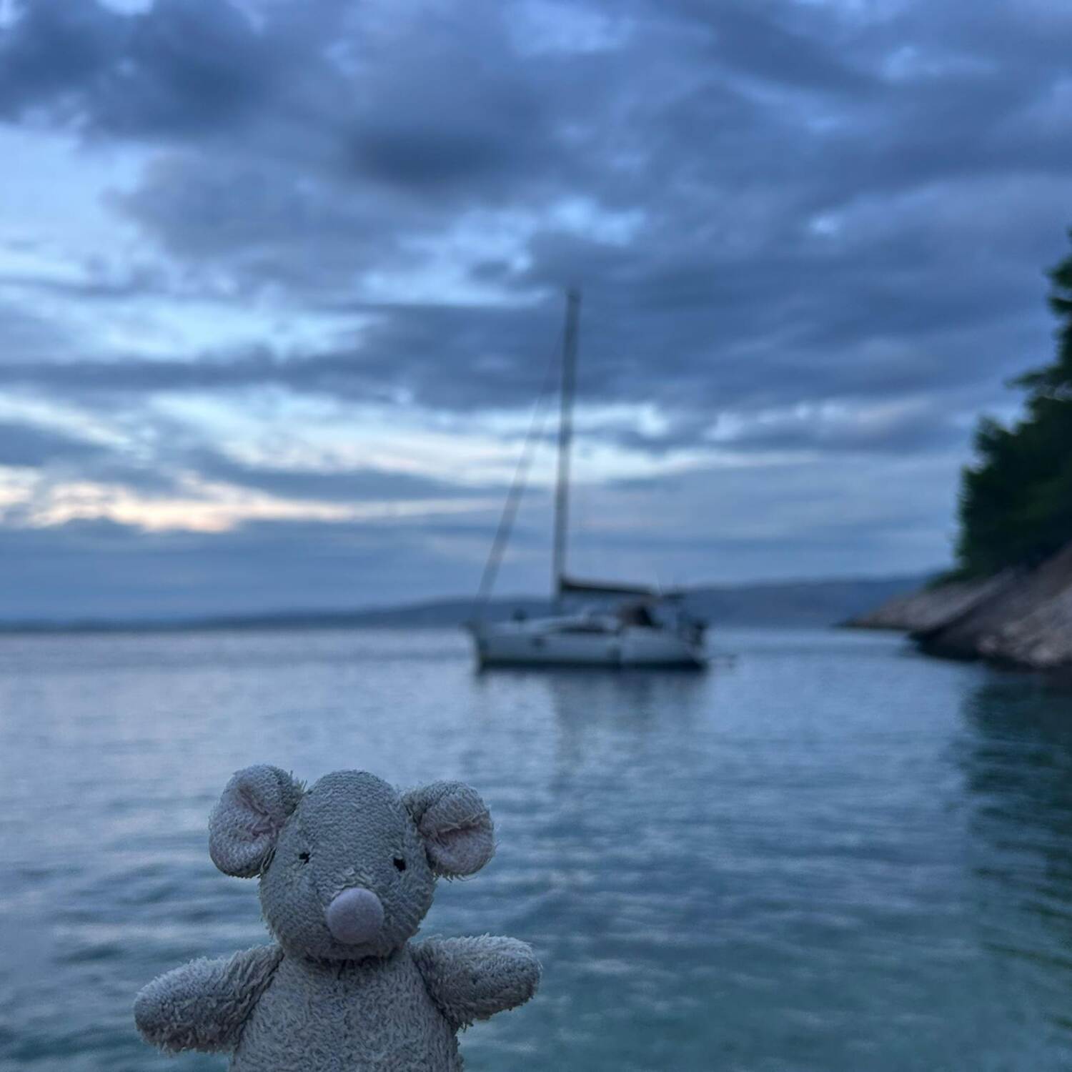 Toppi segelt in Kroatien