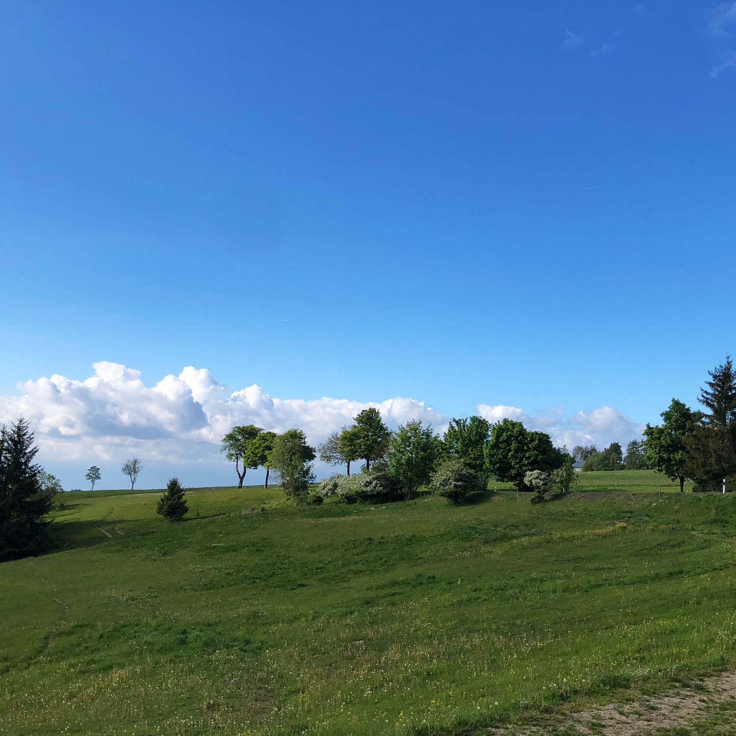 Weg der Freundschaft II