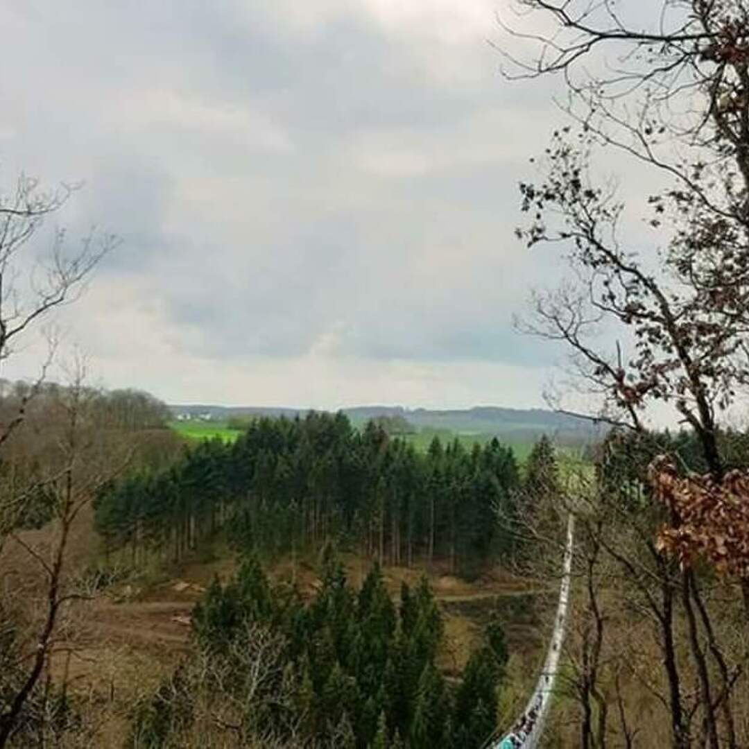 Gaierslay Hängeseilbrücke