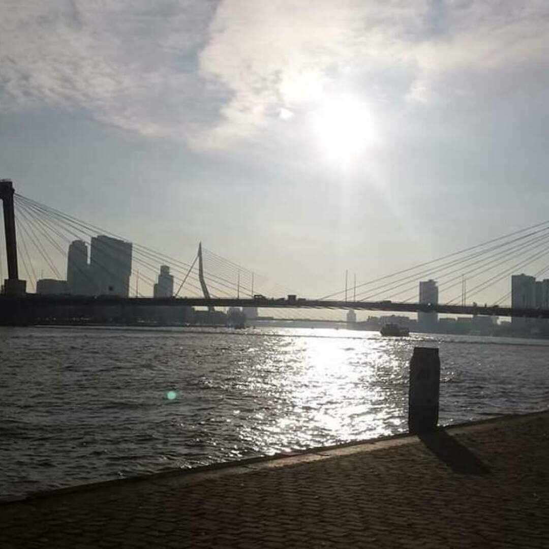 Städterreise Rotterdam