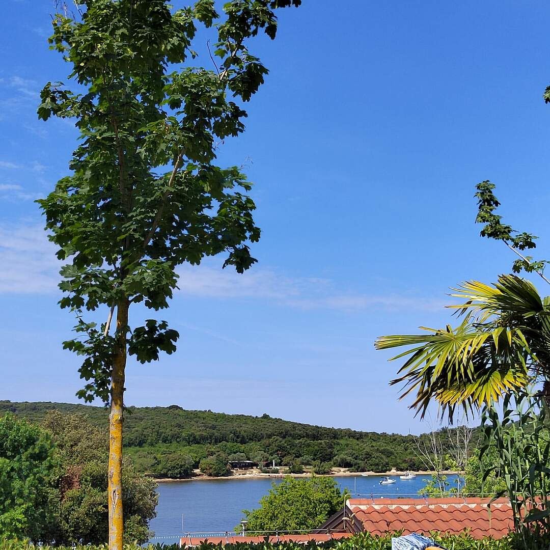Rovinj Camping Val Saline Kroa
