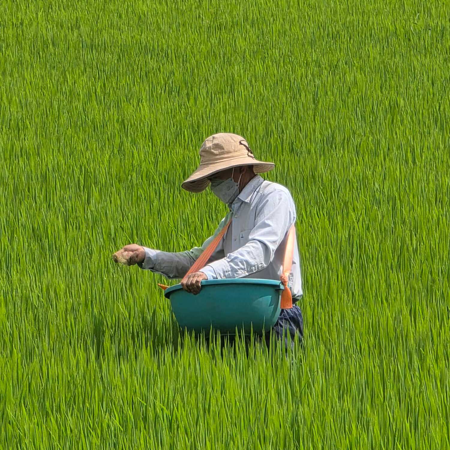 Vietnam 27.2-22.3.26