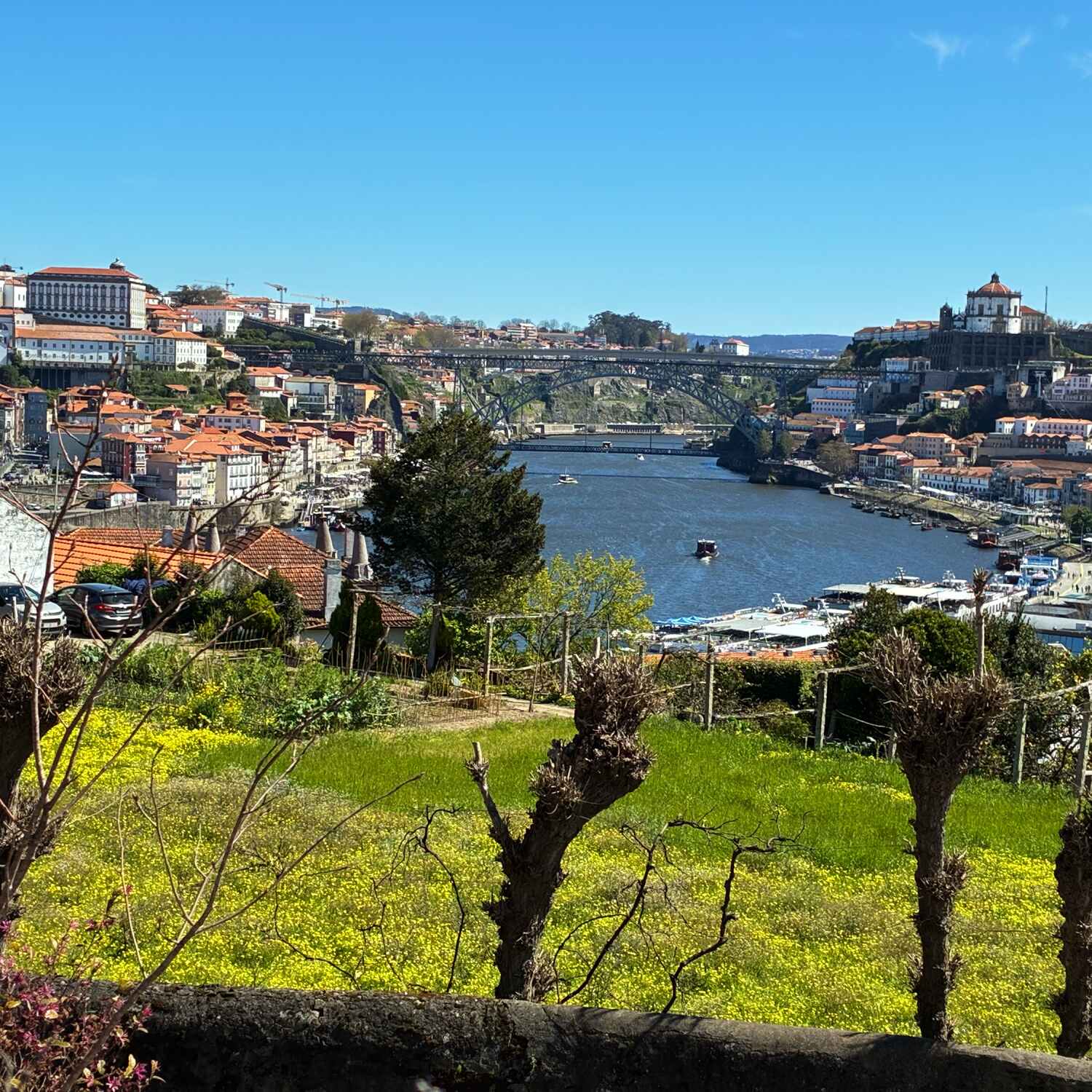 Mit Rotary nach Porto