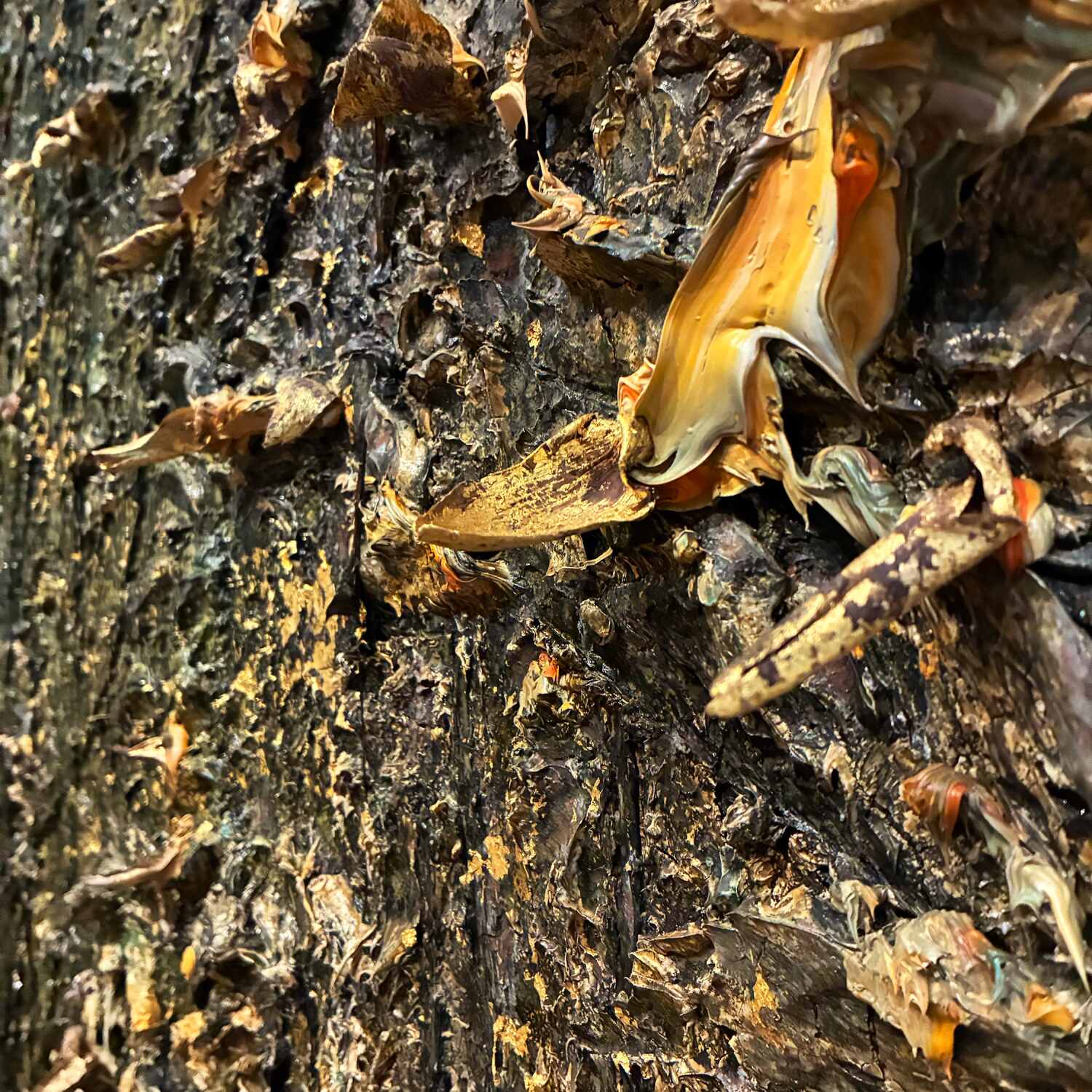 Anselm Kiefer in Amsterdam