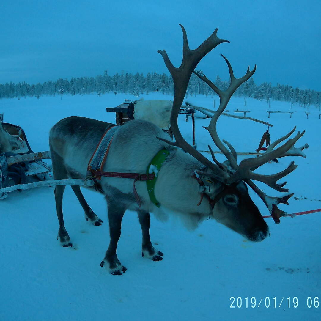 Lapland