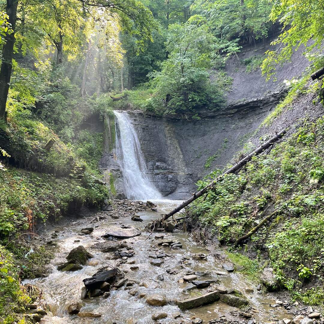 Wutach Gorge