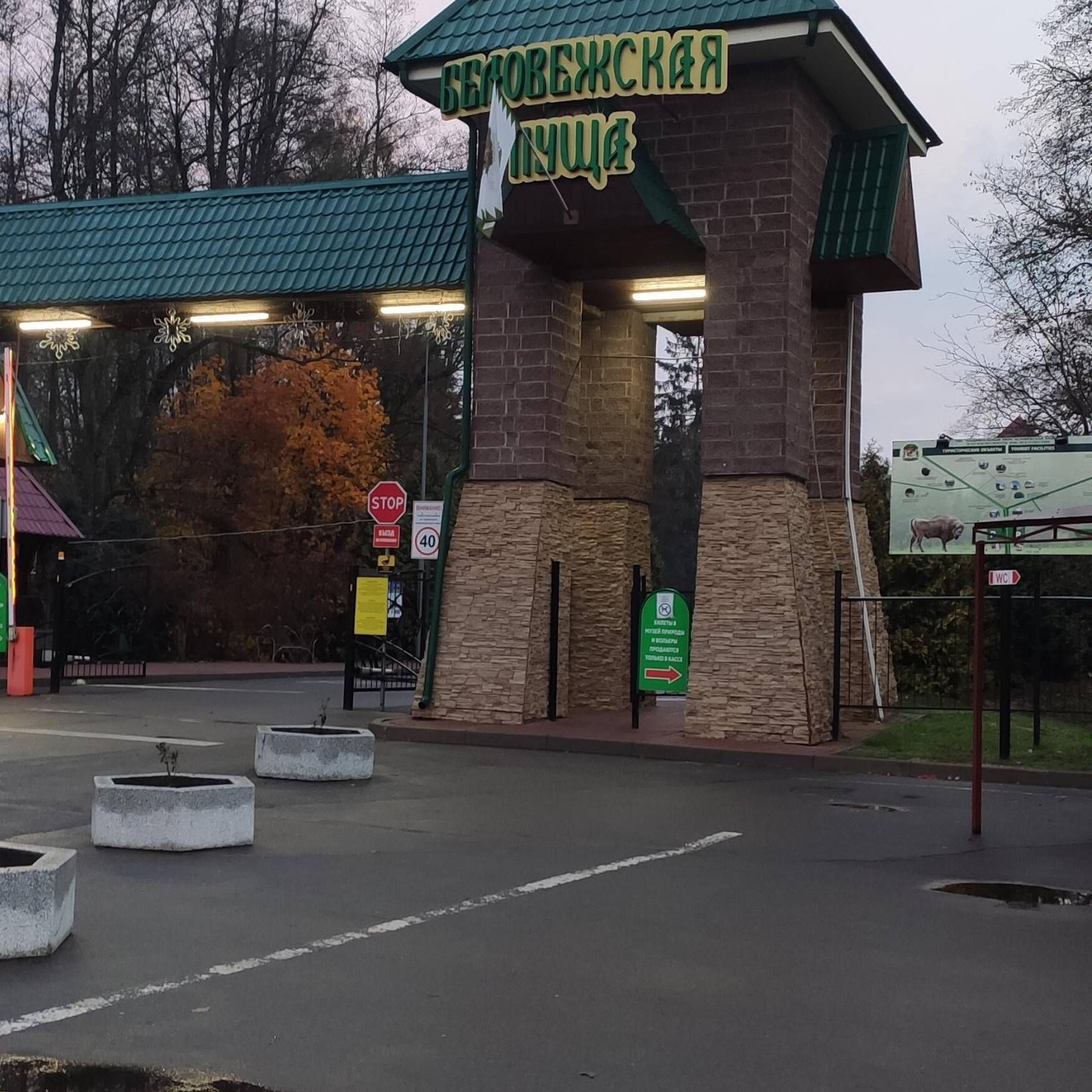 Беловежская пуща