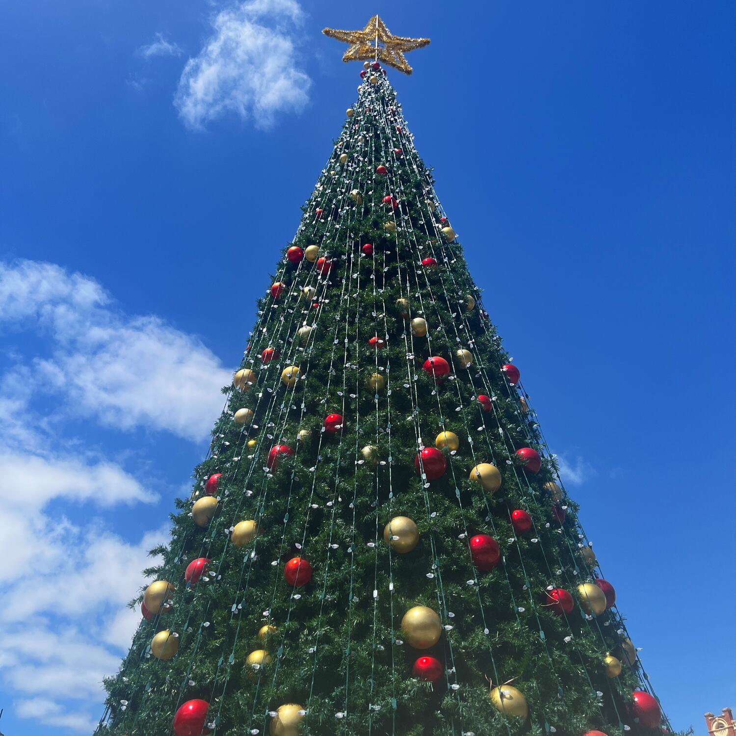 A Pre Christmas Sojourn