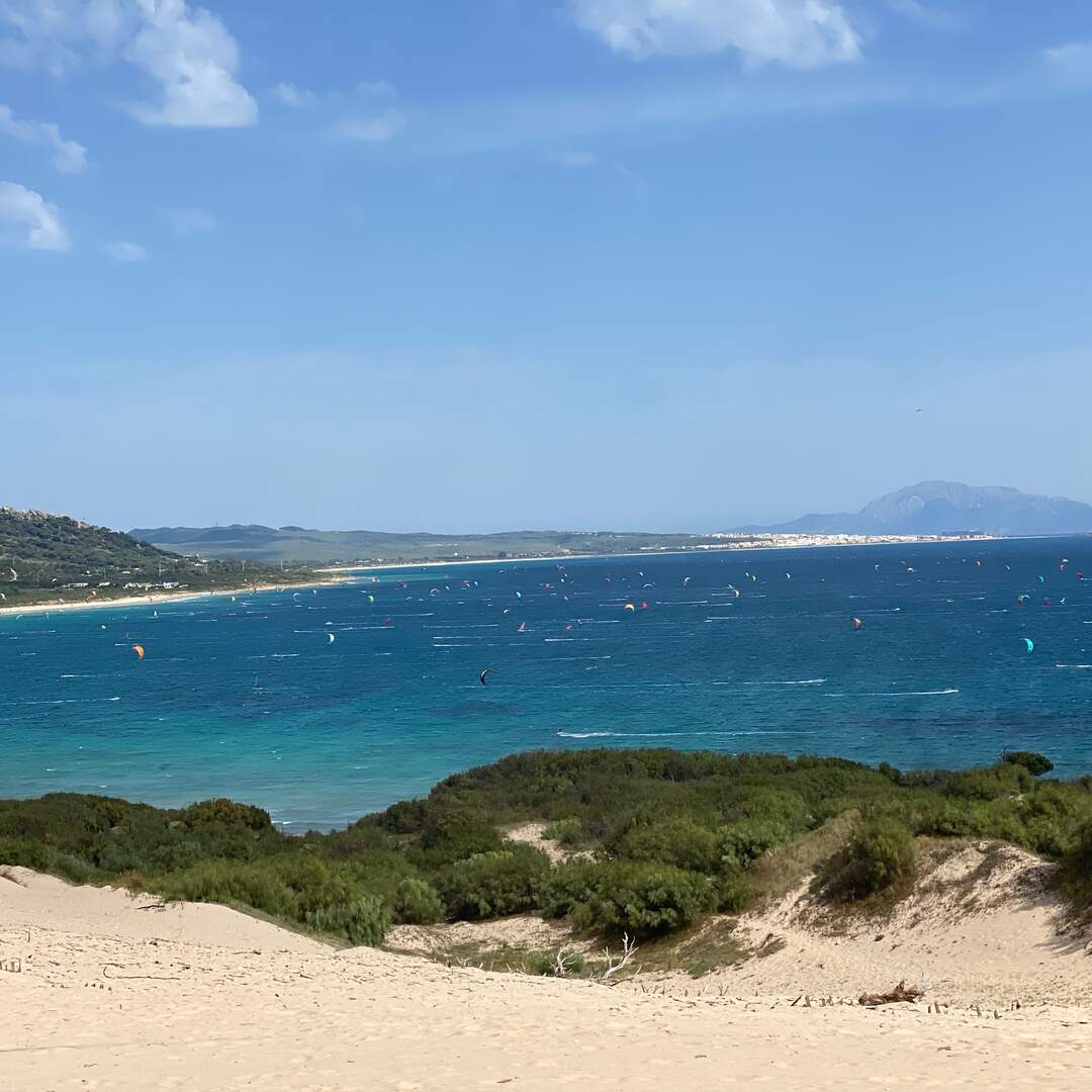 Tarifa