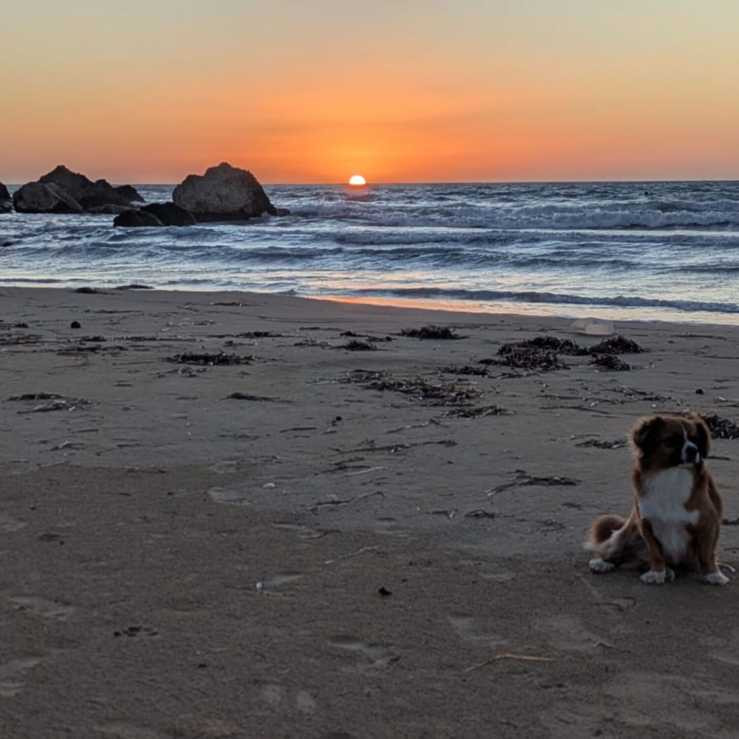 Bella Italia - Sizilien