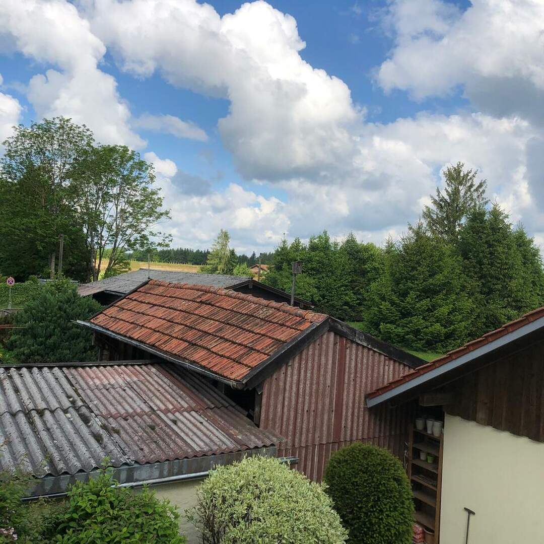 Zum Bodensee mit Jessi