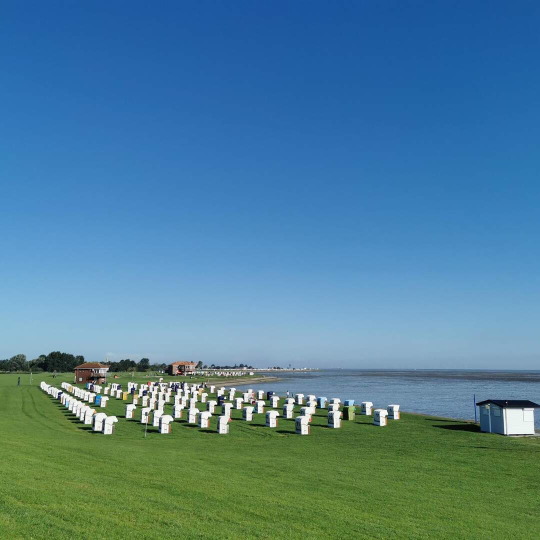 Nordsee mit Iris