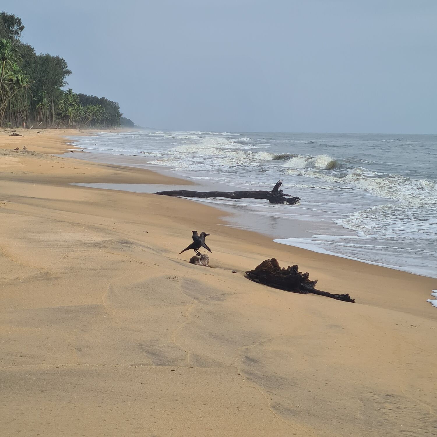 Kerala