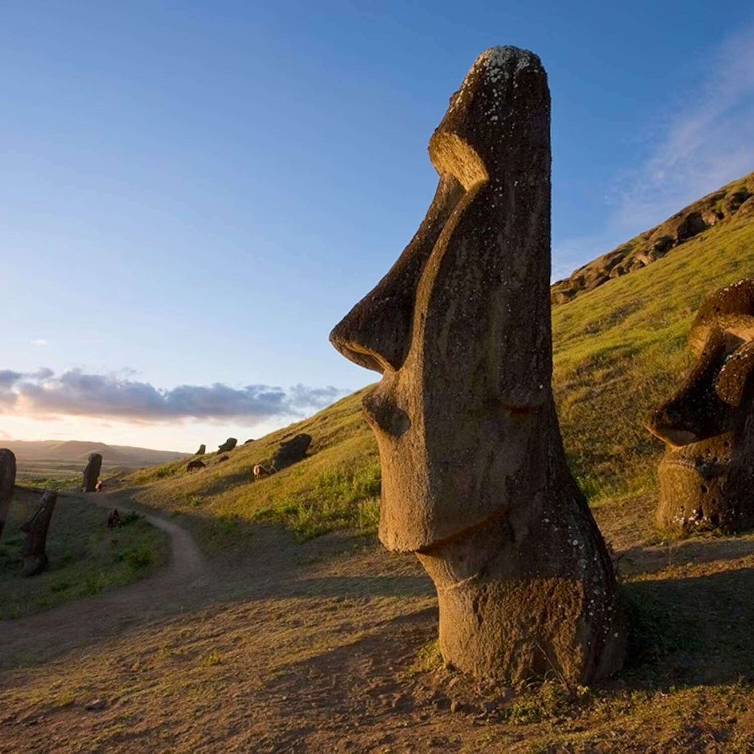 Chilean Fjords & Rapa Nui