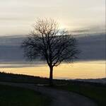 Elena Schaumjan Marconi