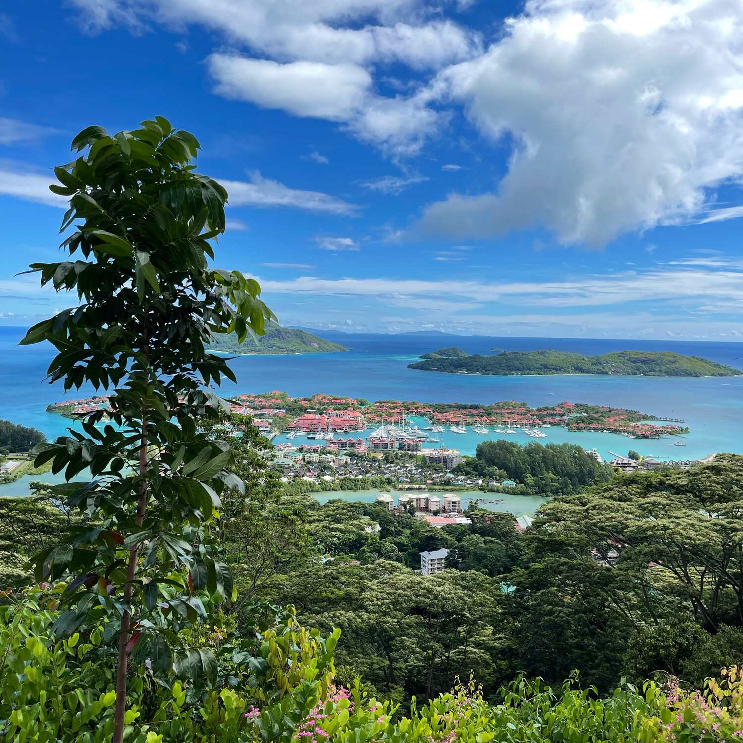 Kreuzfahrt mit AIDAblu