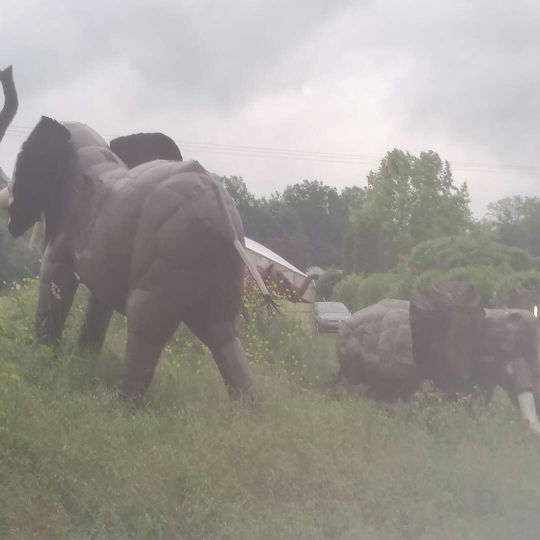 Auf Safari in Süddeutschland