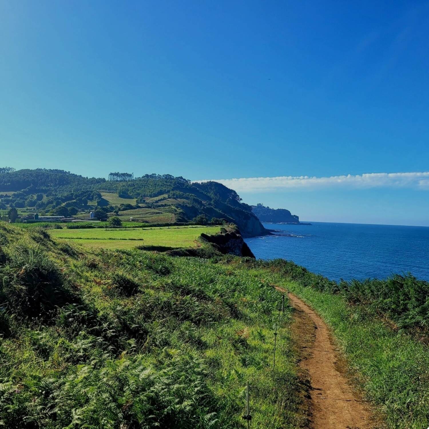 Camino del Norte