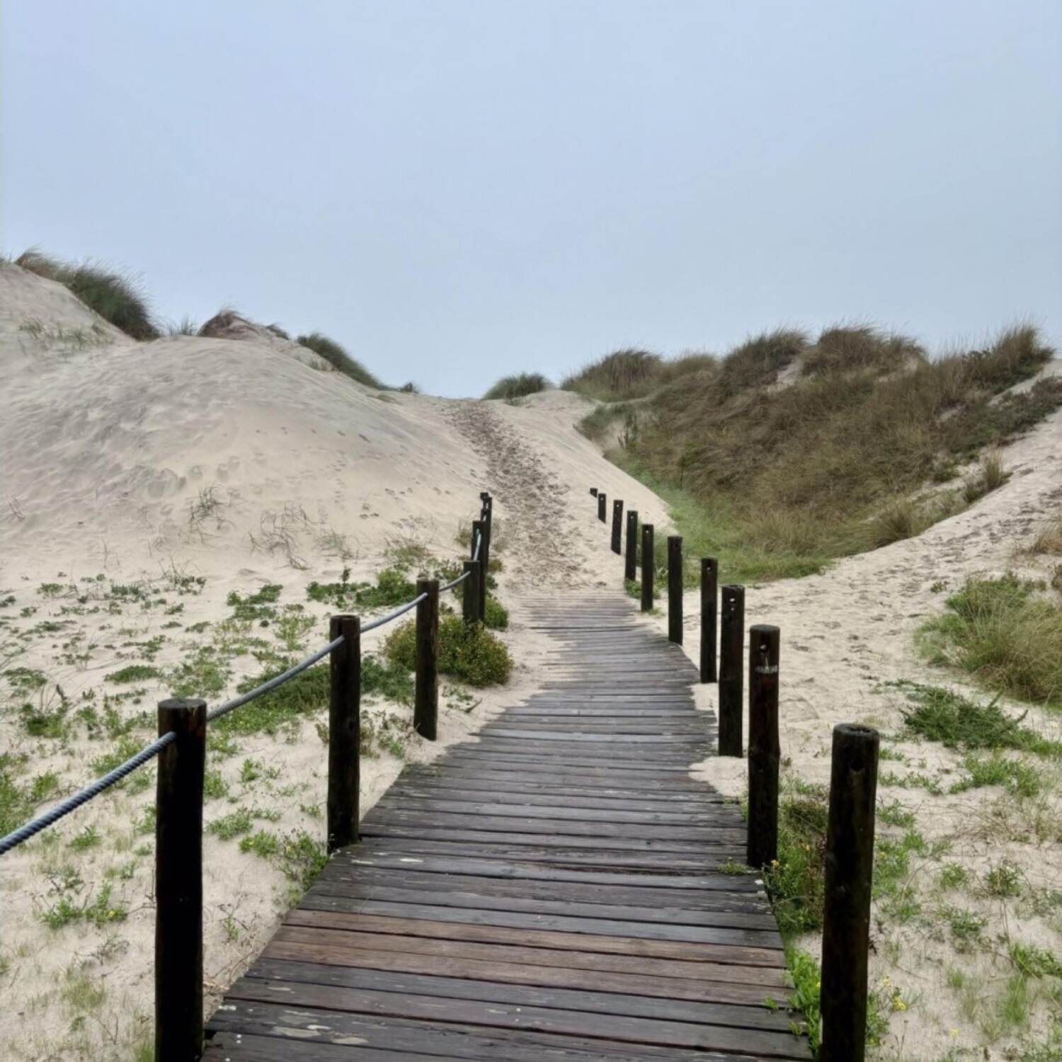 Camino Portugués
