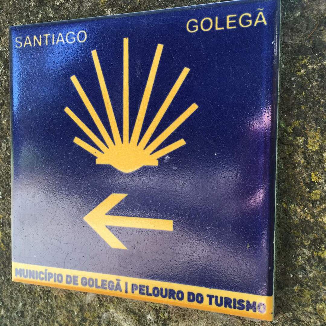 Camino Portugues 2019