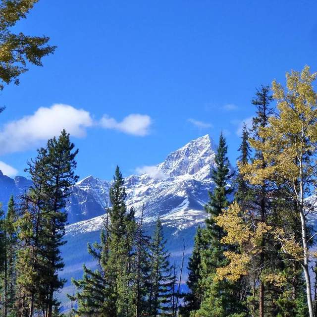 Rambling North America