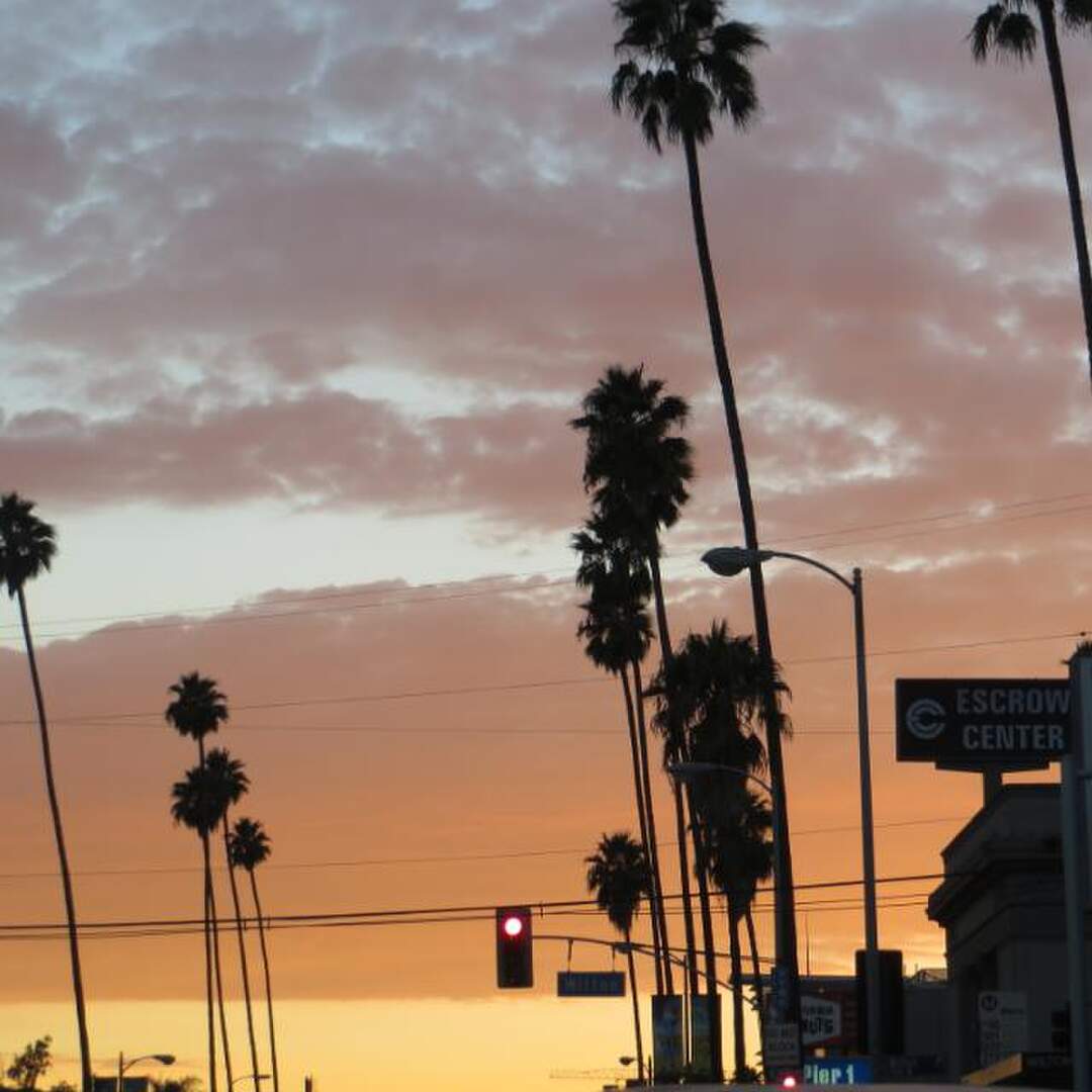 City of Angels