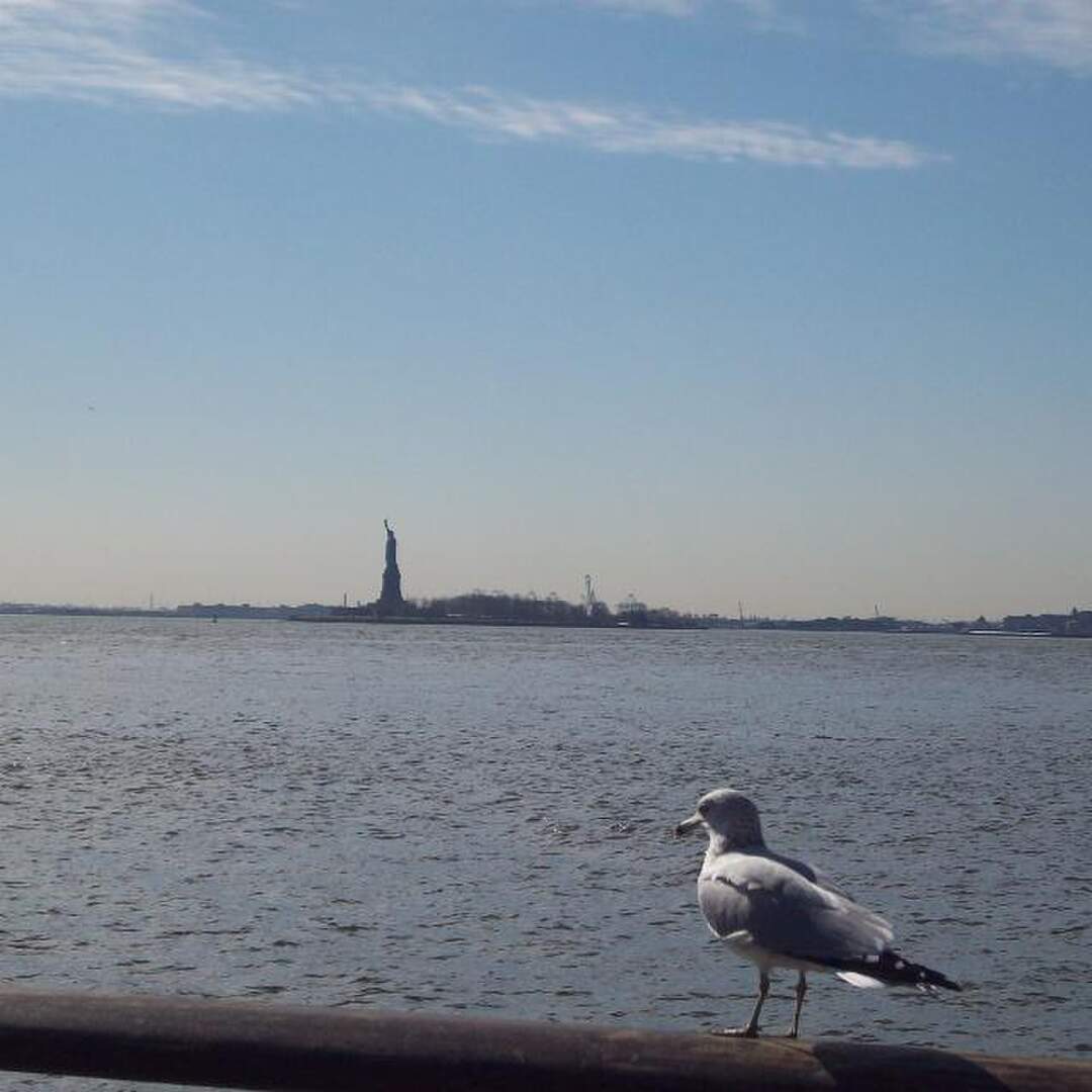 New York, New York