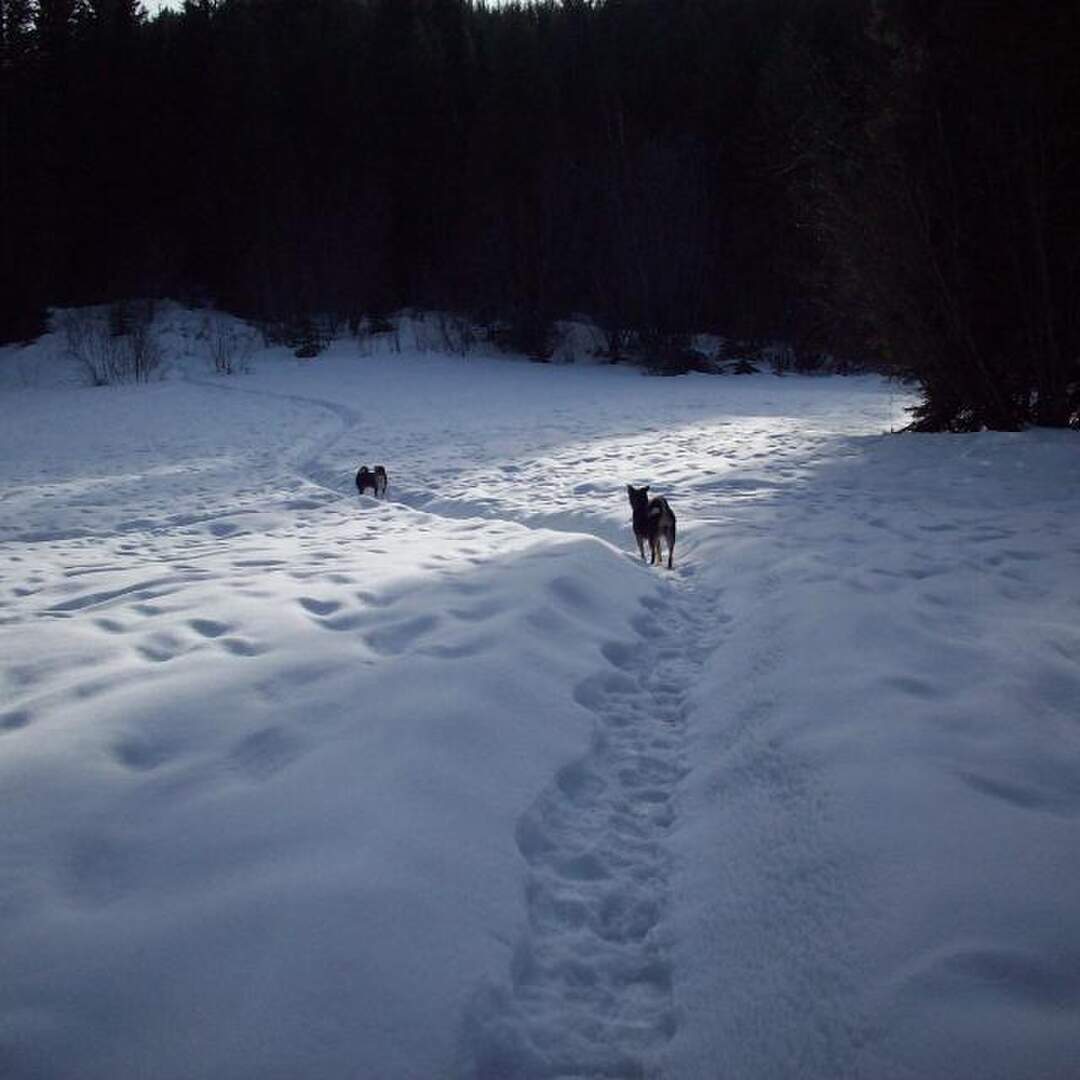 Backcountry BC