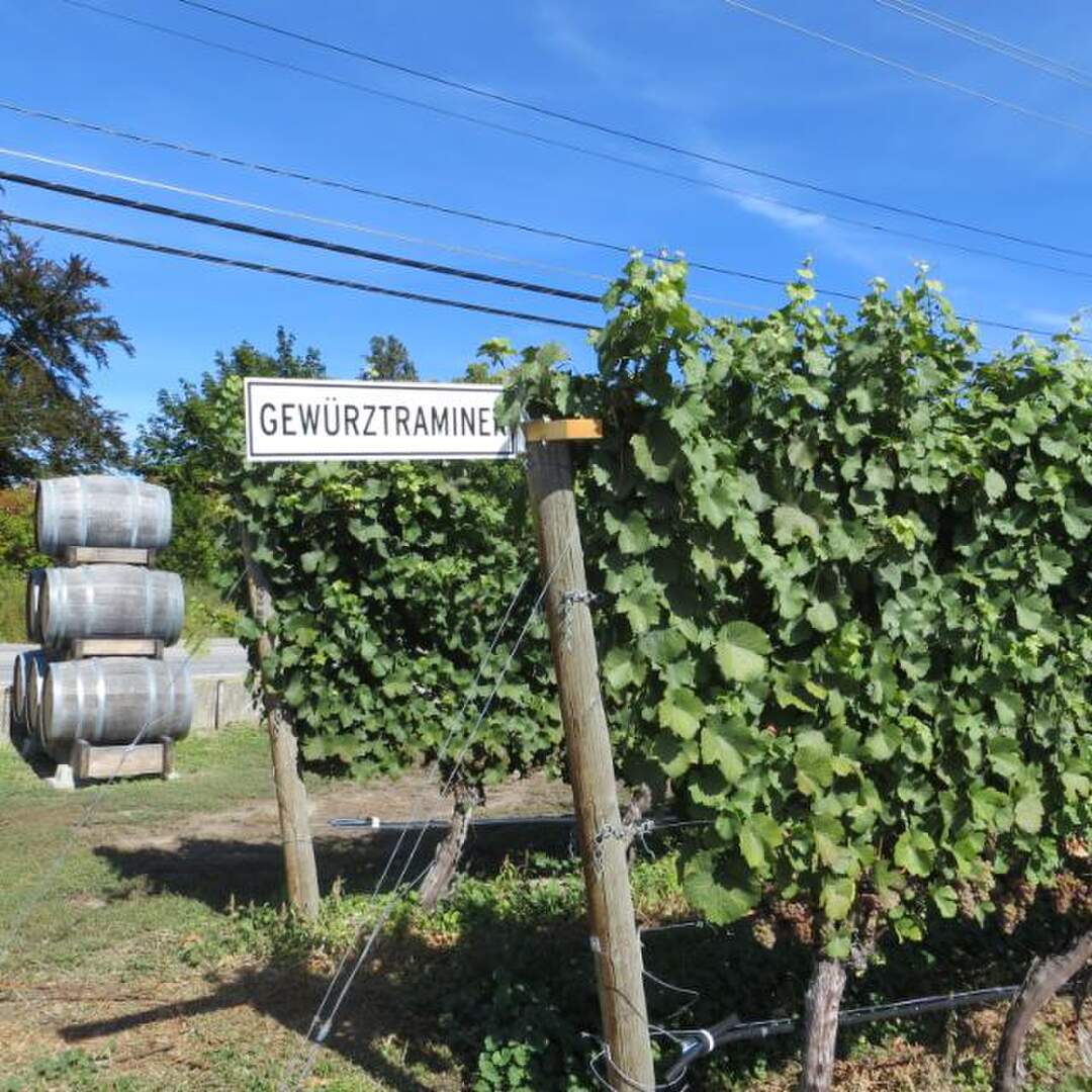A weekend in wine country