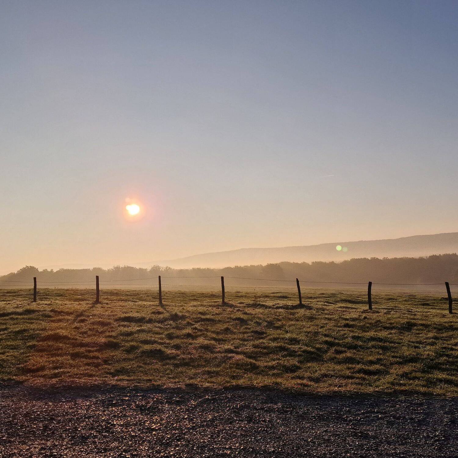 Ottos zweite Überwinterung