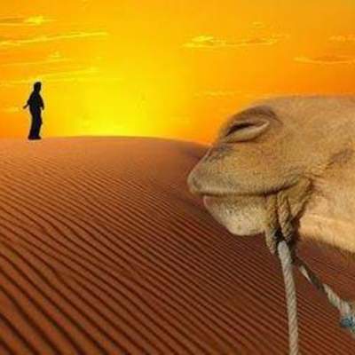 Morocco Desert Tours