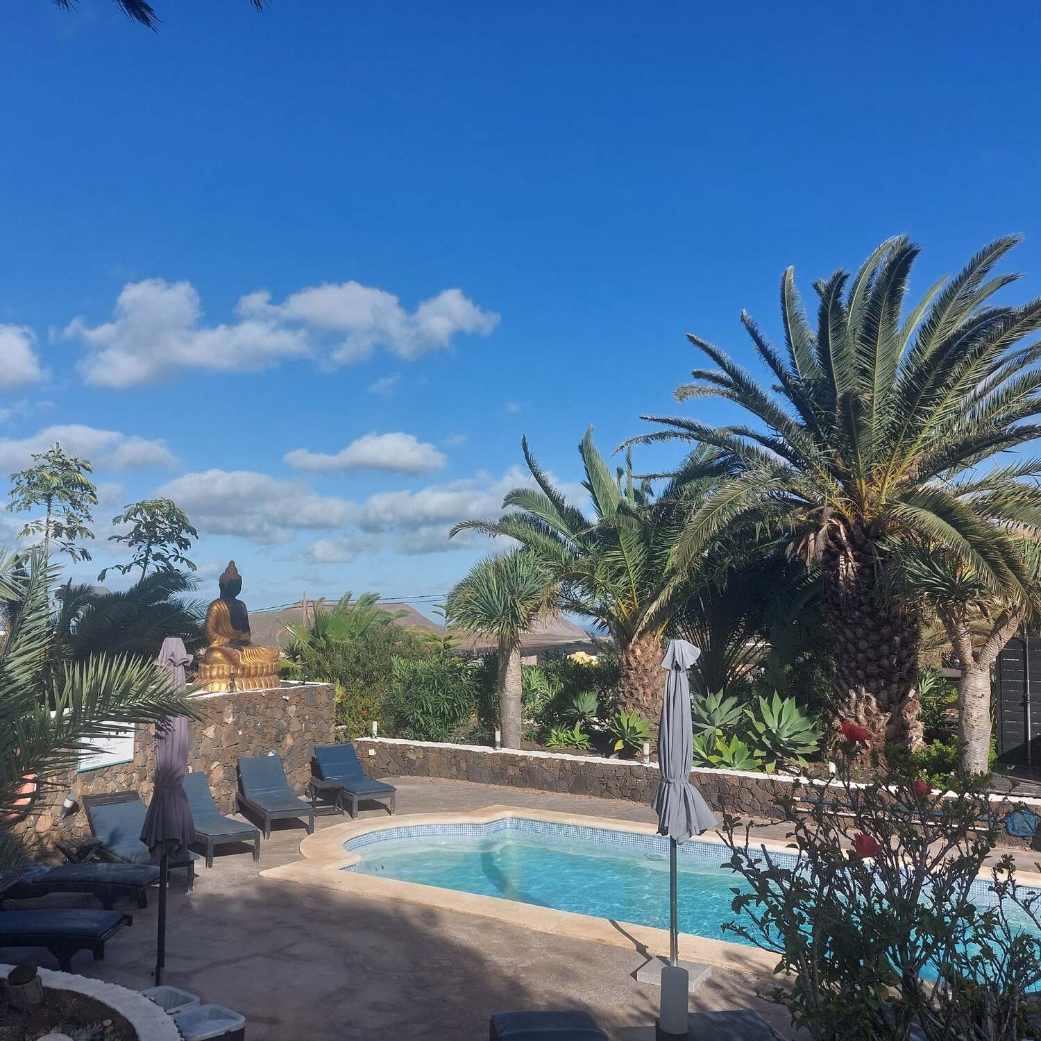 Azulfit, Fuerteventura