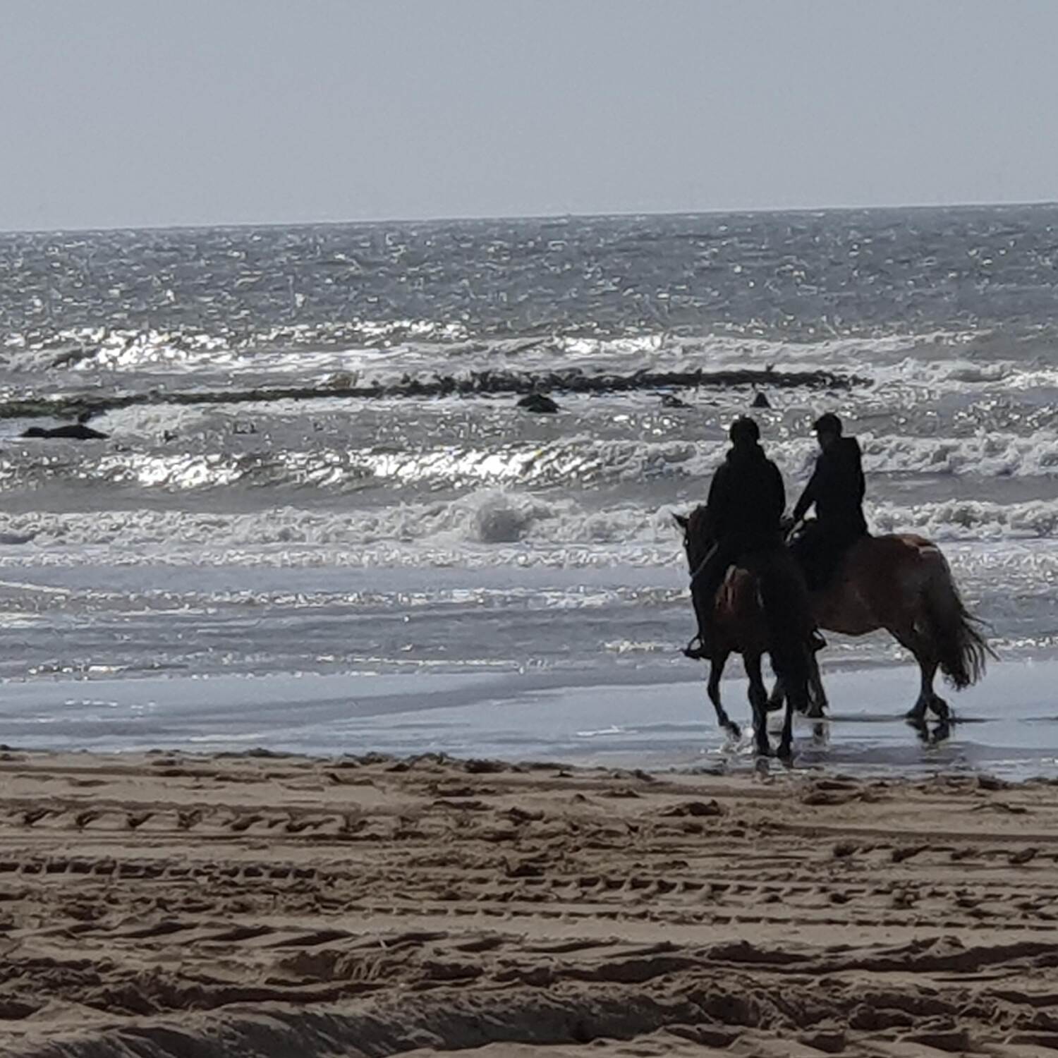 Noord-Holland 24-08