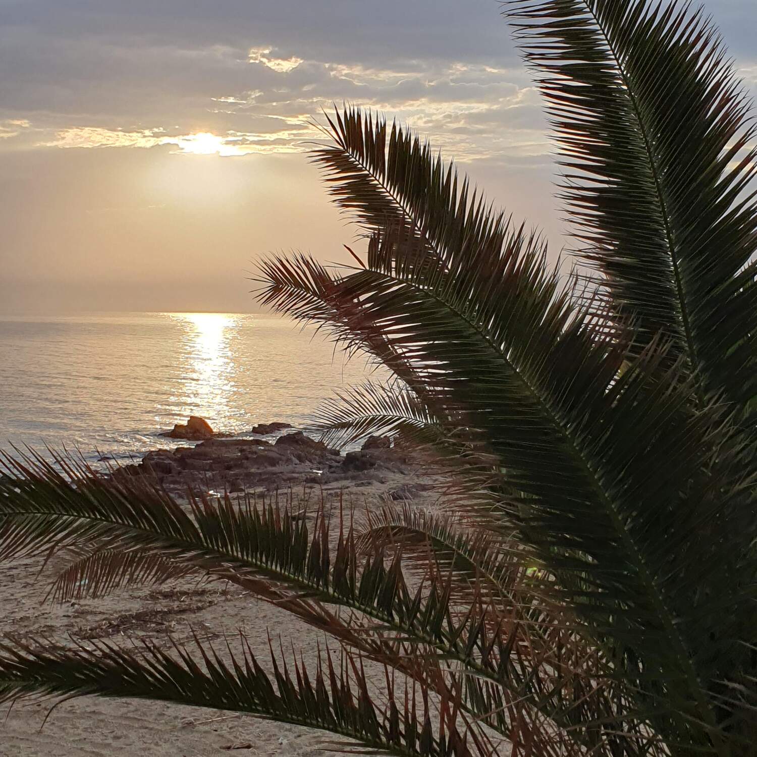 🇪🇸Andalucia olé 🌴