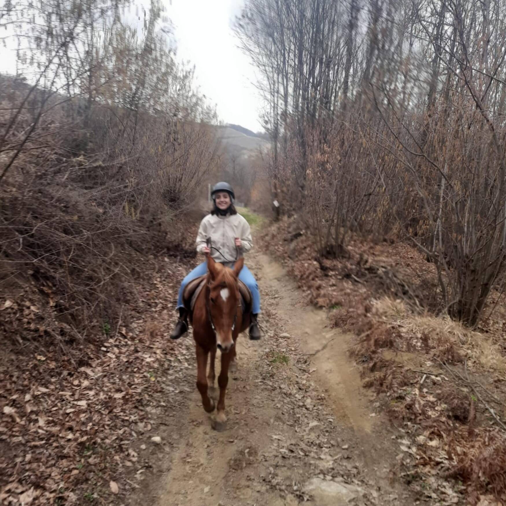 Guida per camminatori con cani