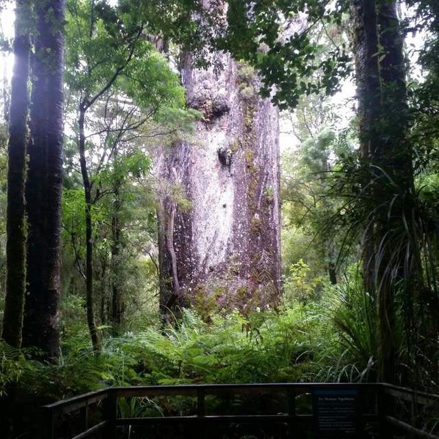 Australië & Zuid Amerika